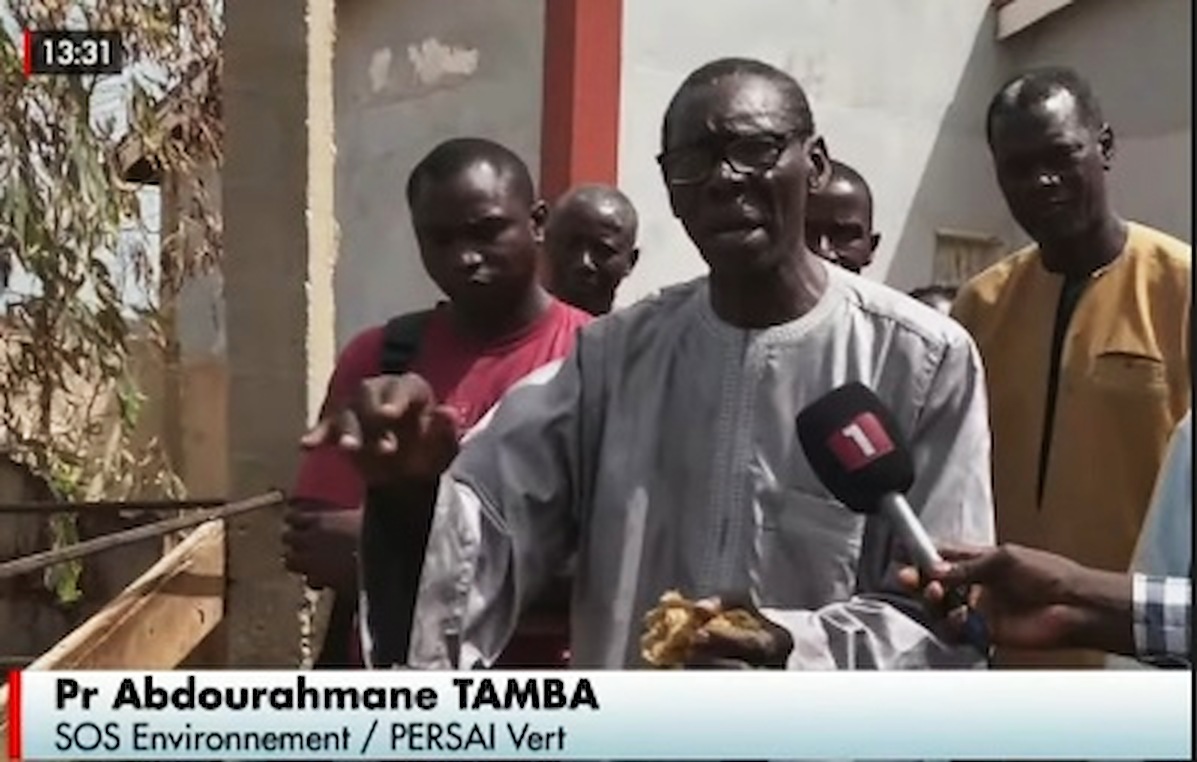 Abdourahmane Tamba interviewe par la Radio Television Senegalaise